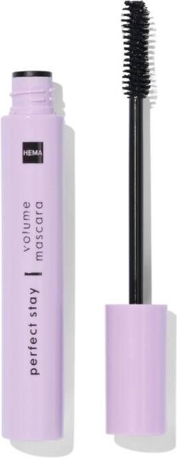 HEMA Langhoudende Volume Mascara Zwart (zwart)