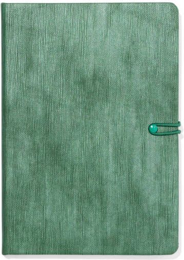 HEMA Notitieboek A5 PU Groen