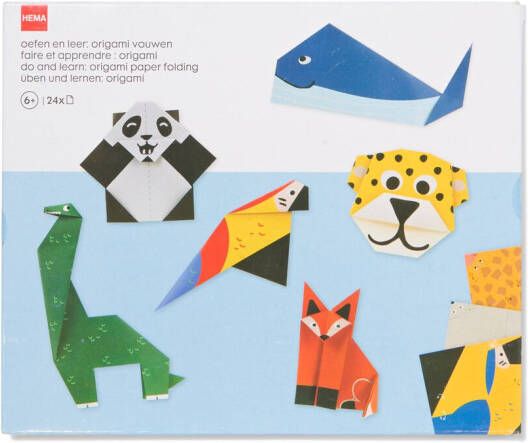 HEMA Oefen En Leer: Origami Vouwen