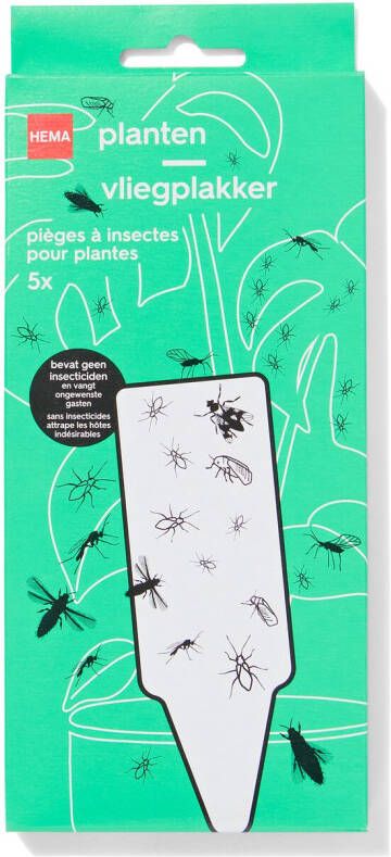 HEMA Planten Vliegenplakker 5 Stuks