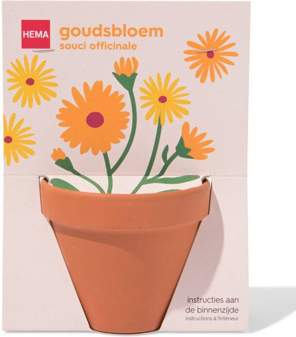 HEMA Potje Met Zaden Goudsbloem