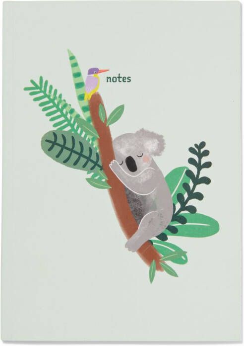 HEMA Schrift Gelinieerd Koala 25.5x18
