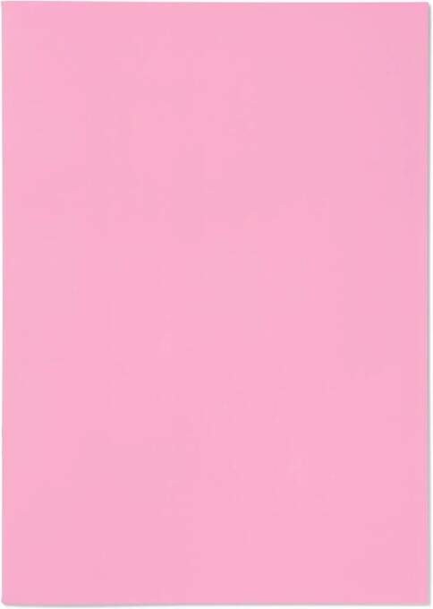 HEMA Schriften A4 Roze 5 Stuks