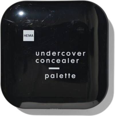 HEMA Undercover Concealer Palette (multi)