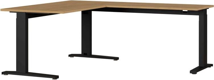 Hoekbureau Ergonoma Eiken