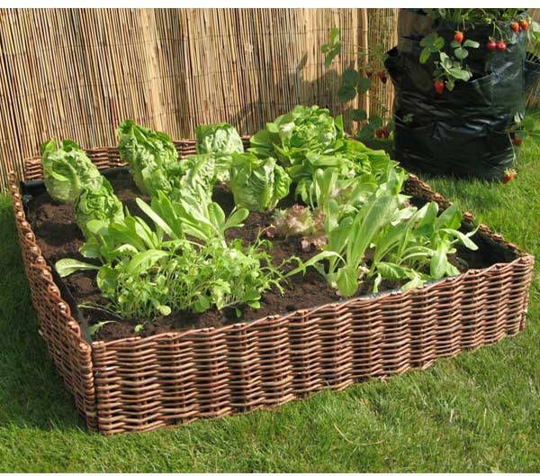 Moestuinbak plantenbak wilgen 100x100x20cm