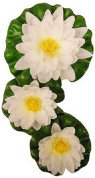 Vijverdecoratie waterlelies per set