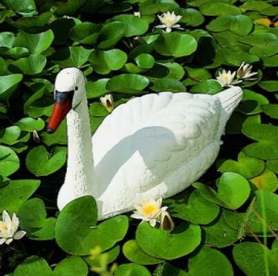 Vijverdecoratie zwaan 54 5cm