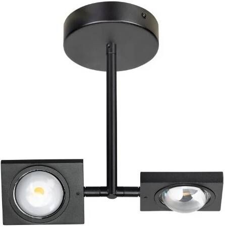 ETH Plafondlamp Jake 2-lichts Zwart