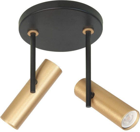 Highlight Opbouwspot Trend 2-lichts rond goud