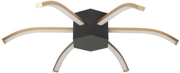 Highlight Plafondlamp Spider 6 lichts zwart goud