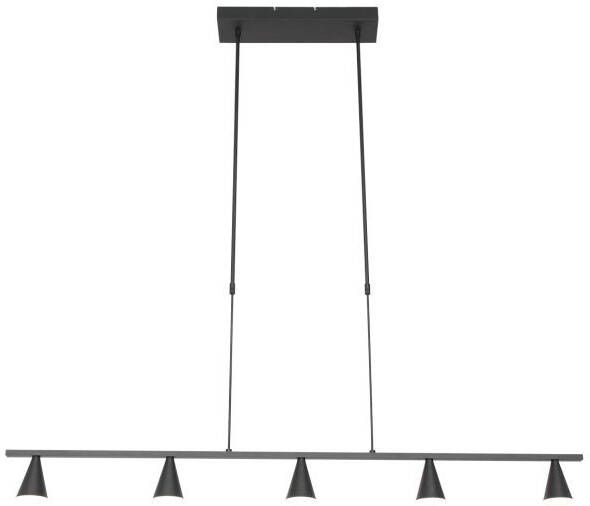 Steinhauer Hanglamp Vortex 5-lichts zwart