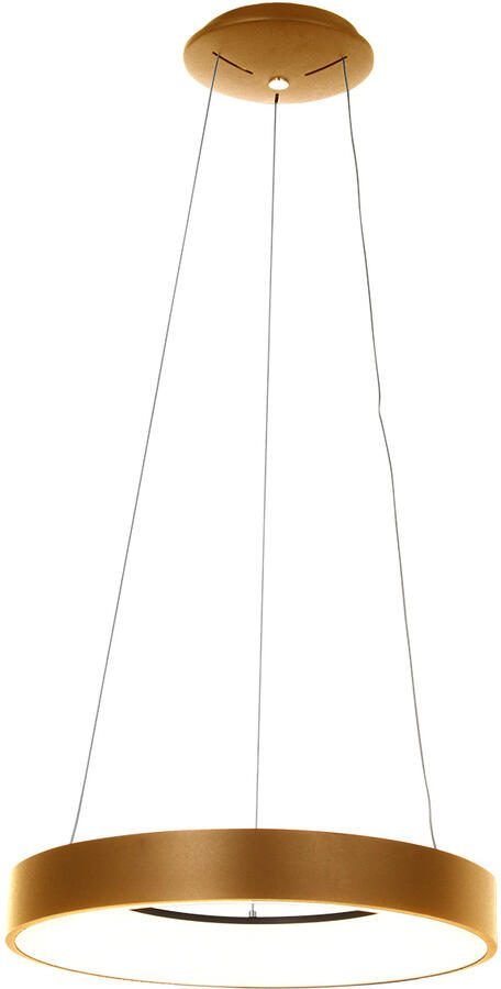 Steinhauer Hanglamp Ringlede Ø 48 cm 2695 goud