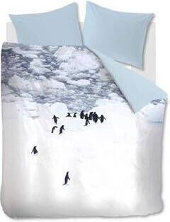 Ambiante Poul dekbedovertrek 100% microvezel 2-persoons (200x200 220 cm + 2 slopen) 2 stuks (60x70 cm) Grijs