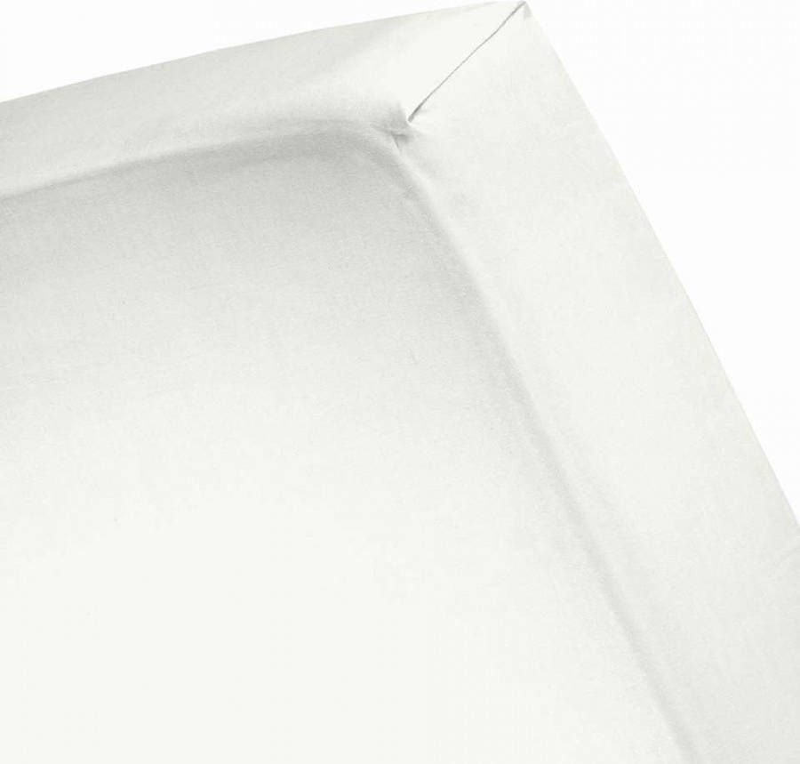 Cinderella Sundays Hoeslaken 100% Katoen-Satijn 2 Persoons 120x200 cm tot 25 cm Ivoor - Foto 2