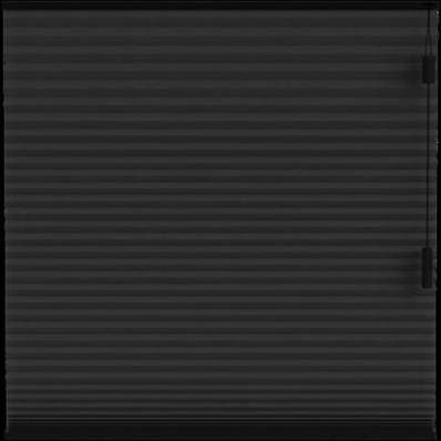 Fenstr plisségordijn Boston dubbel 25mm lichtdoorlatend zwart (15020) Leen Bakker