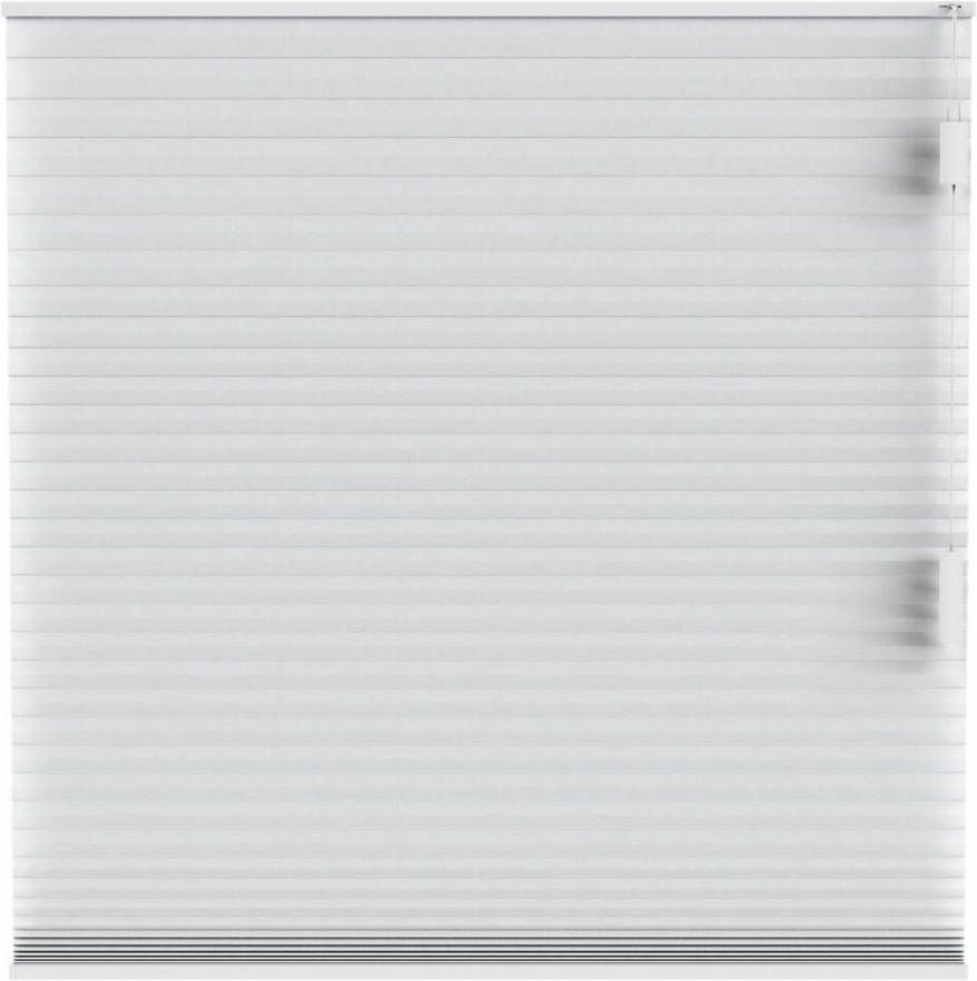 Fenstr plisségordijn Chicago dubbel 25mm lichtdoorlatend wit (10011) Leen Bakker
