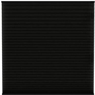 Fenstr plisségordijn Chicago dubbel 25mm lichtdoorlatend zwart (15019) Leen Bakker