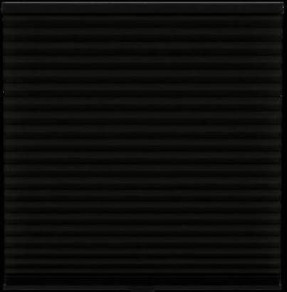 Fenstr plisségordijn Chicago dubbel 45mm lichtdoorlatend zwart (15024) Leen Bakker