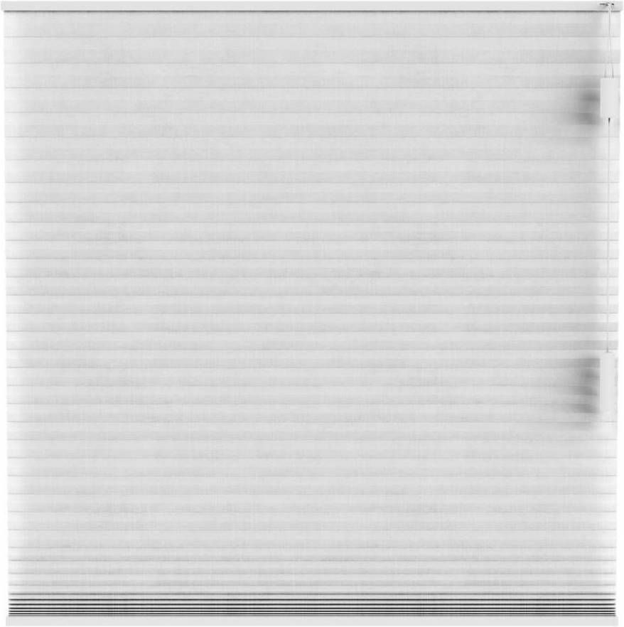 Fenstr plisségordijn Sidney dubbel 25mm transparant wit (10326) Leen Bakker