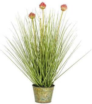 Leen Bakker Allium gras in pot paars 53 cm