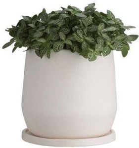 Leen Bakker BLOEMPOT LARS WIT KERAMIEK 17XØ18CM