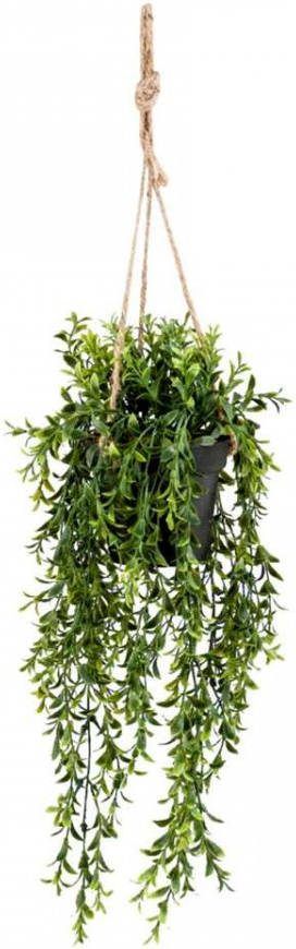 Woonexpress Hangplant Boxwood Groen Polyester Groen 50x0x0cm (hxbxd) - Foto 3