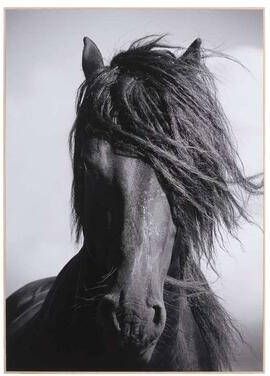 Leen Bakker Decopaneel Paard zwart wit 70X50 cm