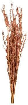Leen Bakker Droogbloemen Alfonso gras naturel 100 cm