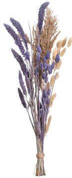 Leen Bakker Droogbloemen boeket mix lila 71 cm