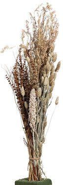 Leen Bakker Droogbloemen boeket mix naturel bruin 77 cm