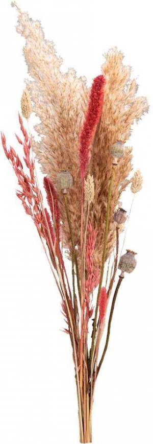Leen Bakker Droogbloemen boeket mix roze 45 cm