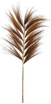 Leen Bakker Droogbloemen Grass plume bruin 118 cm