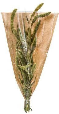 Leen Bakker Droogbloemen Setaria naturel 45 cm