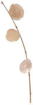 Leen Bakker Droogbloemen tak Capiz goud 78 cm