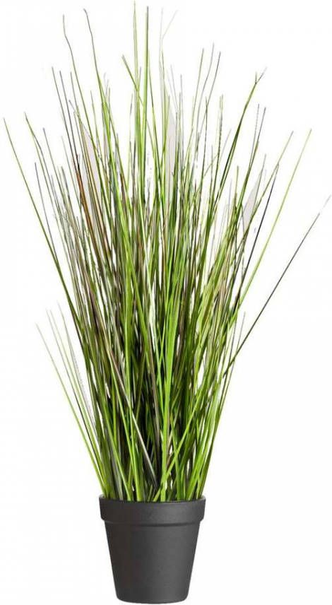 Leen Bakker Grass Bush in pot 53 cm