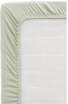 Leen Bakker Hoeslaken Jersey licht groen 90x200 cm