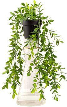 Leen Bakker Kunst hangplant Ficus Pumila groen 30 cm