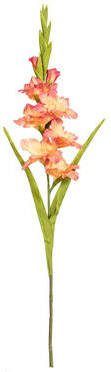Leen Bakker Kunstbloem Gladiolus Spray Peach 93 cm