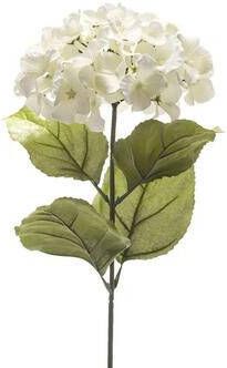 Leen Bakker Kunstbloem Hortensia wit 65 cm