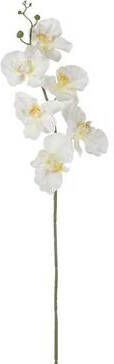 Leen Bakker Kunstbloem Orchidee wit