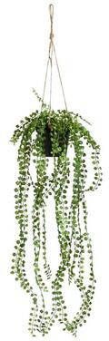 Leen Bakker Kunsthangplant Ficus Pumila groen 60 cm