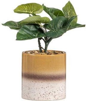 Leen Bakker Kunstplant Alocasia in pot groen bruin 30 cm