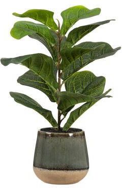 Leen Bakker Kunstplant Ficus in pot groen 50 cm