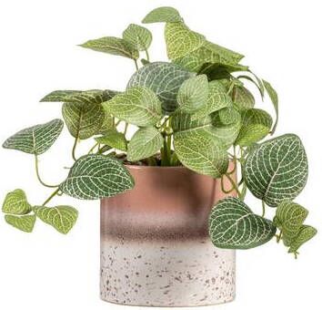 Leen Bakker Kunstplant Fittonia in pot Groen bruin 30 cm