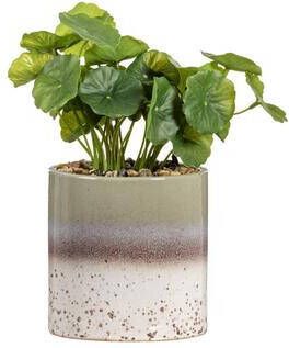 Leen Bakker Kunstplant Hydrocotyle in pot groen 30 cm