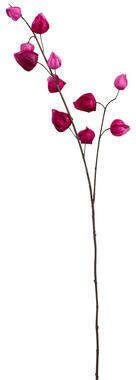 Leen Bakker Kunsttak Chinese Lampion Fuchsia 94 cm