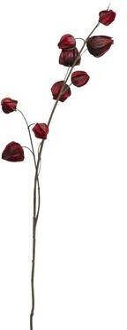 Mica Decorations Decoratietak Lampionplant 94 Cm Rood