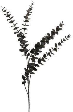 Leen Bakker Kunsttak Eucalyptus spray zwart 80 cm