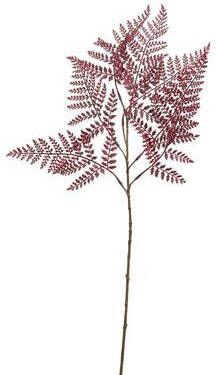 Leen Bakker Kunsttak Fern spray rood 85 cm
